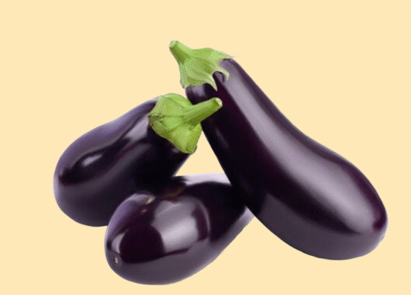 Brinjal( Ringan- Bhattha)