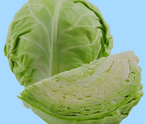 Cabbage (Kobi)