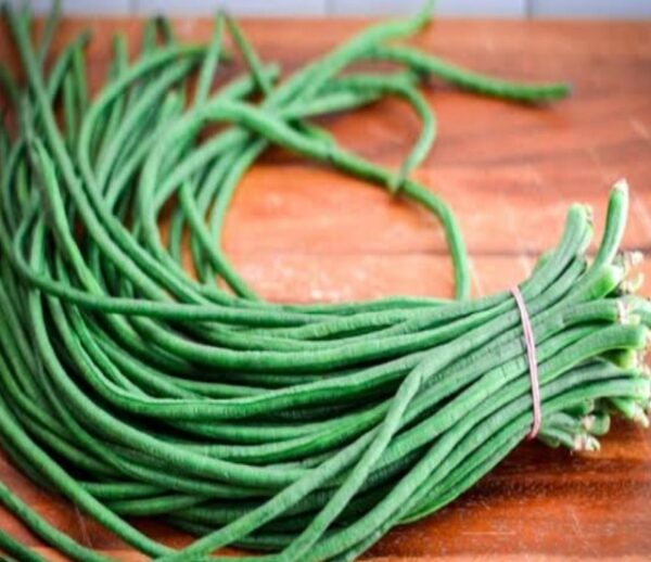Cowpea Beans( Chola)
