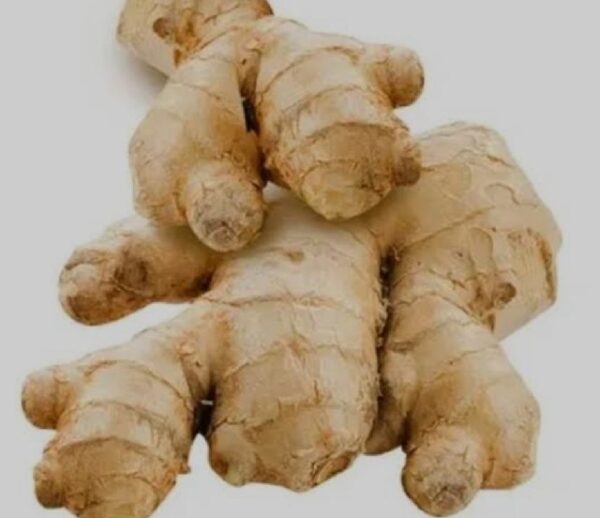 Ginger(Aadu)