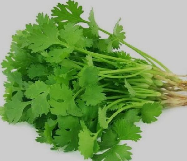 Coriander(Dhana)