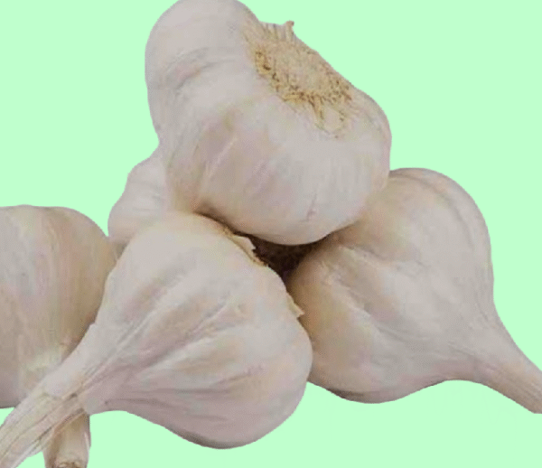 Garlic(Lasan)