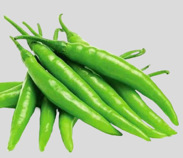 Chilli (Lila Marcha)