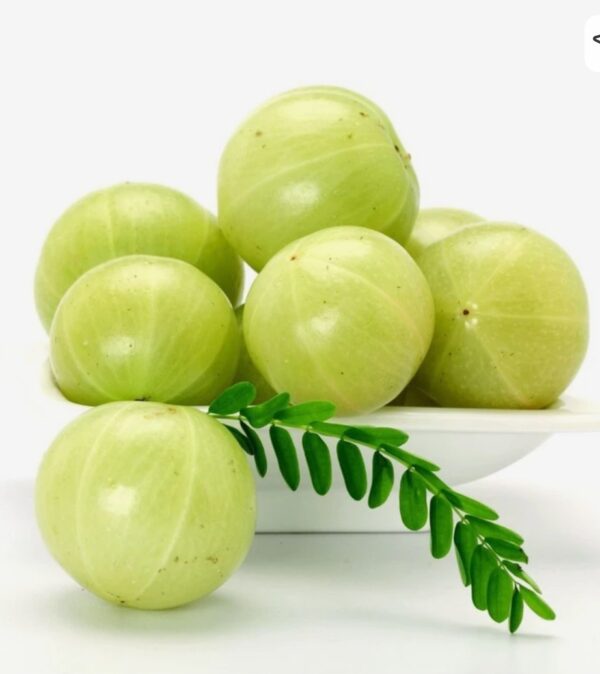 Amla